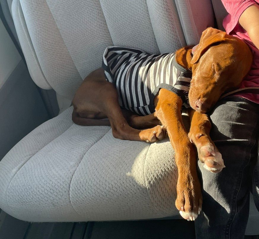 Brown Gravy - Photo 3