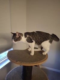 April - Photo 3