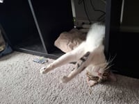 April - Photo 7