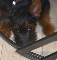 River - Photo 1