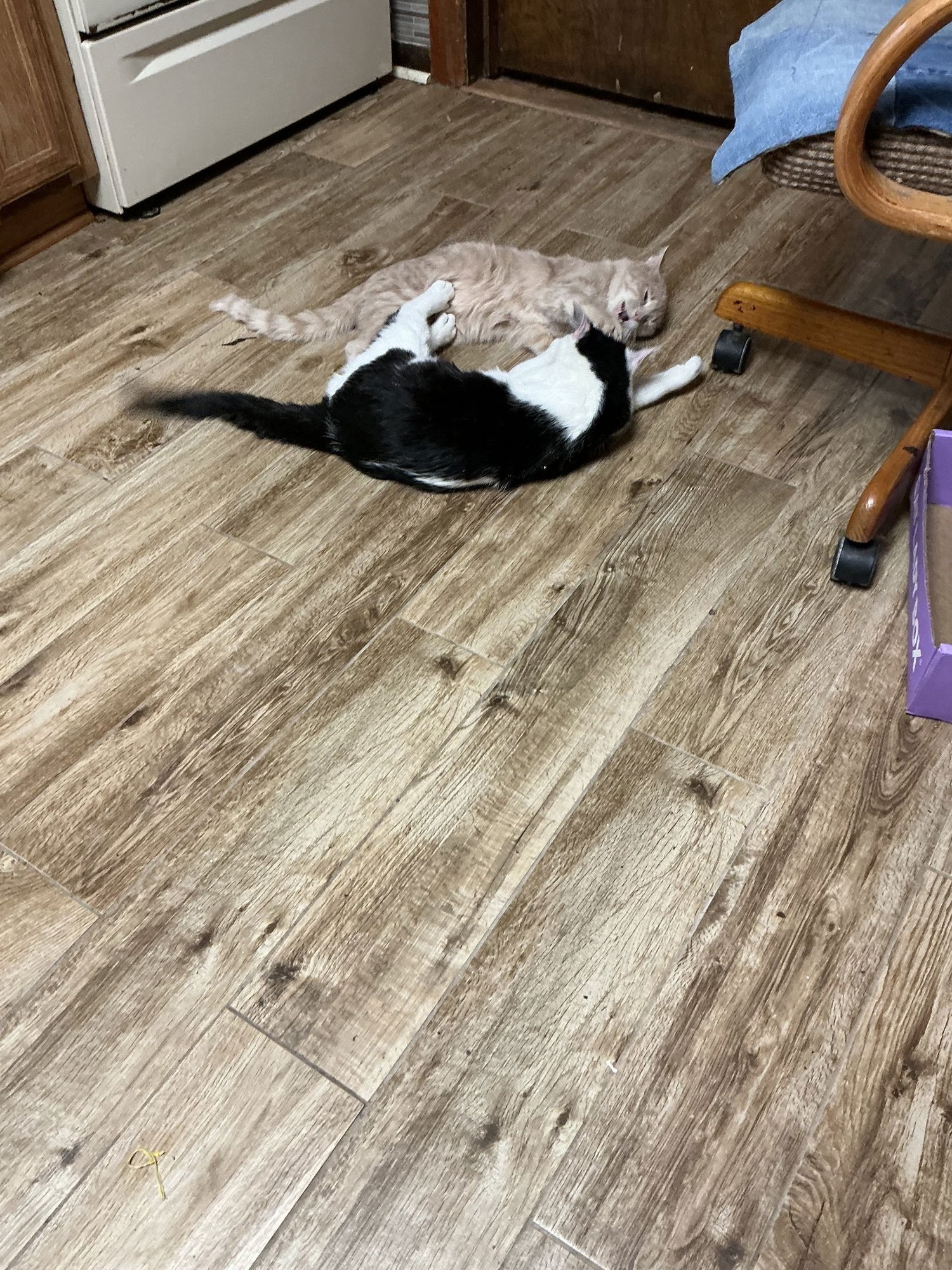 Dollar Bill - Photo 3