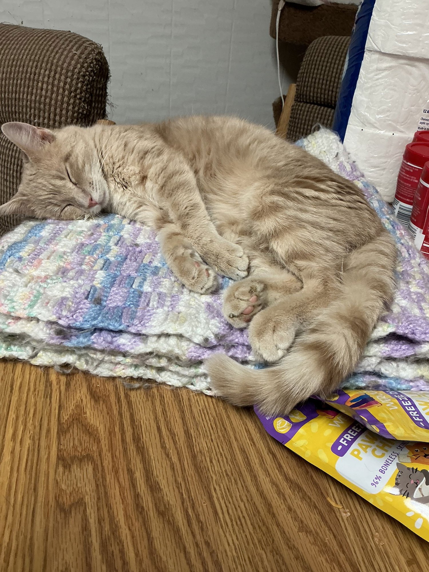 Dollar Bill - Photo 4