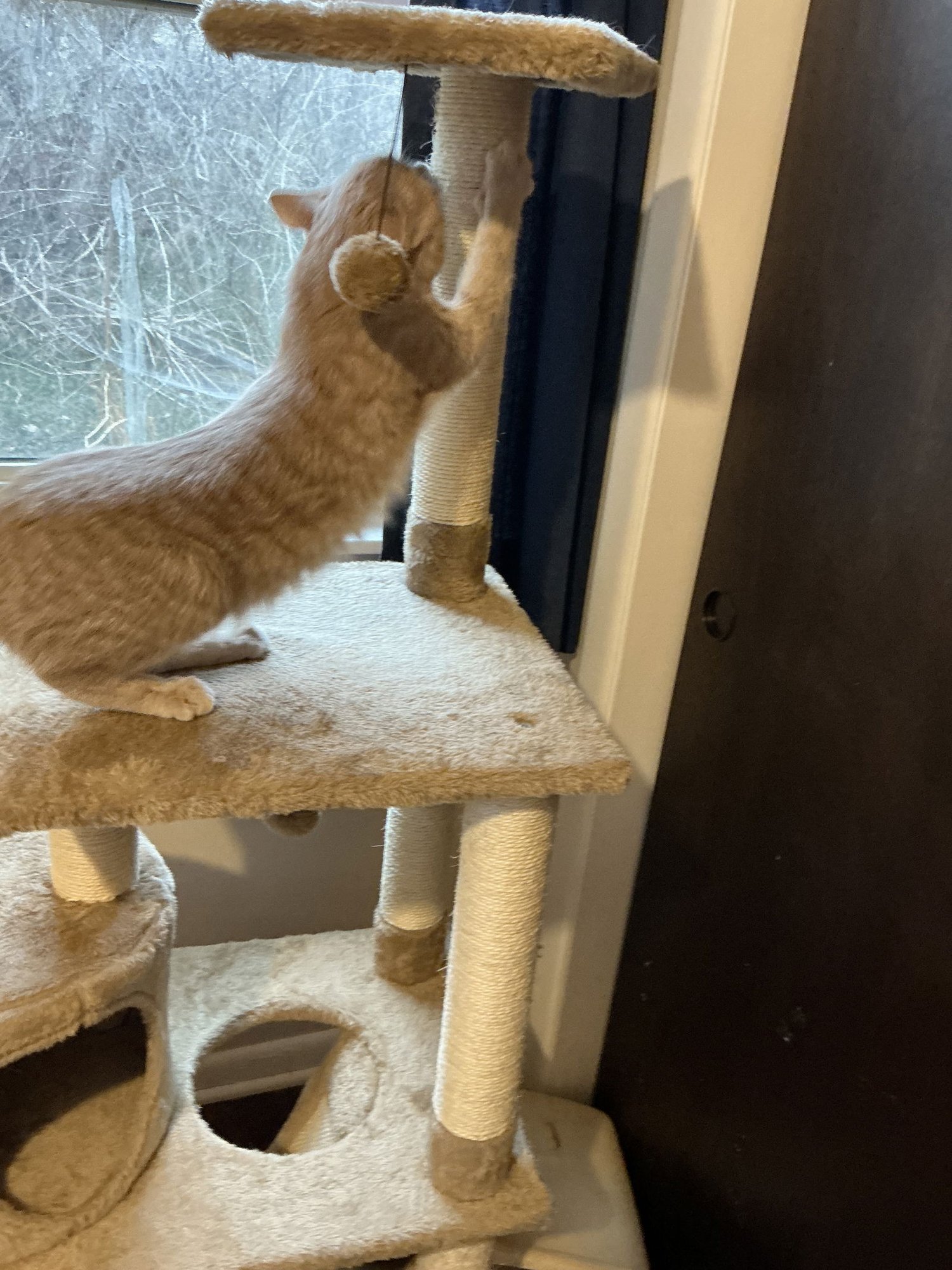 Dollar Bill - Photo 5