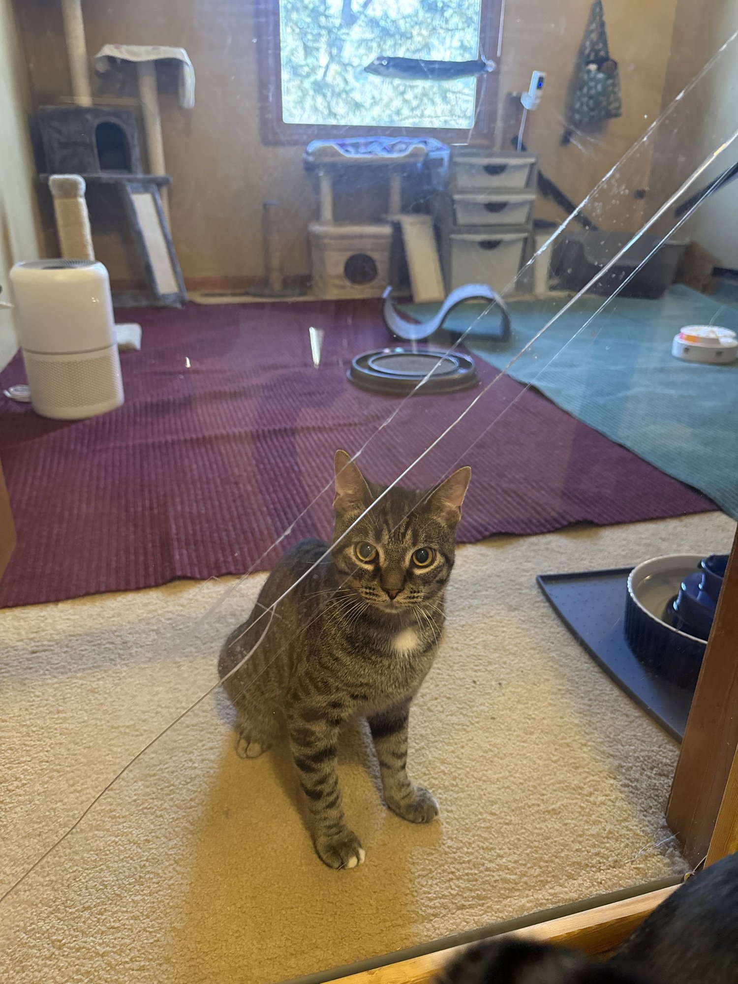 Tinky Winky - Photo 3