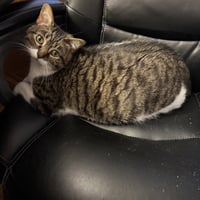 Anne - Photo 8