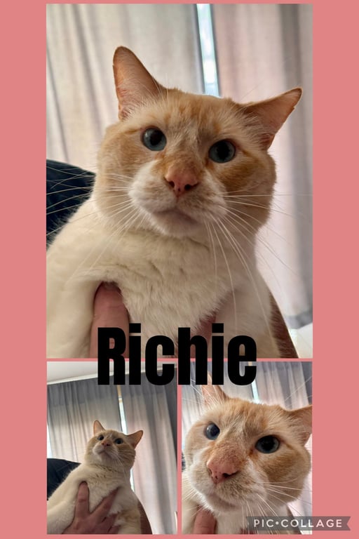 Richie Image