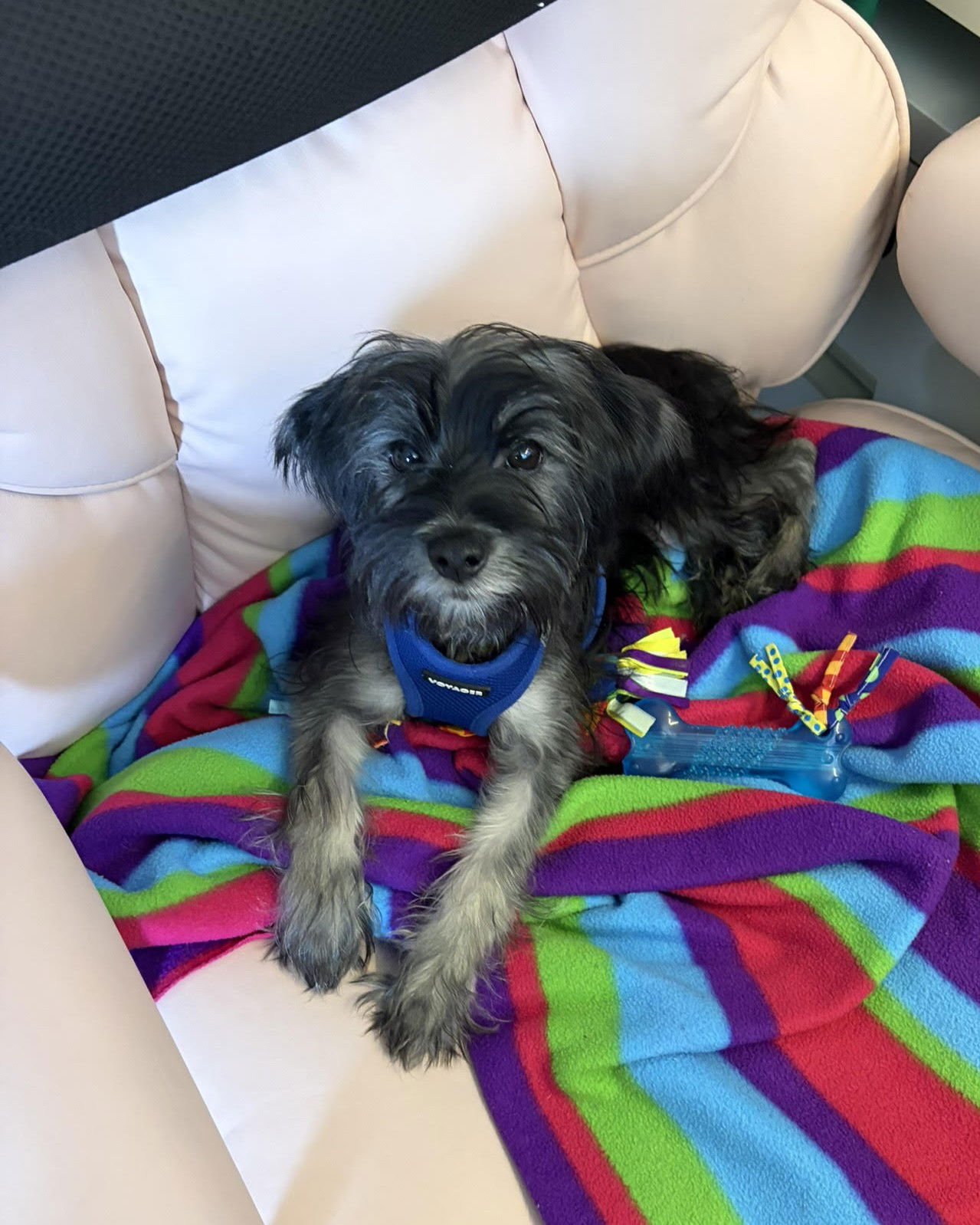 Percy Jackson - Photo 3