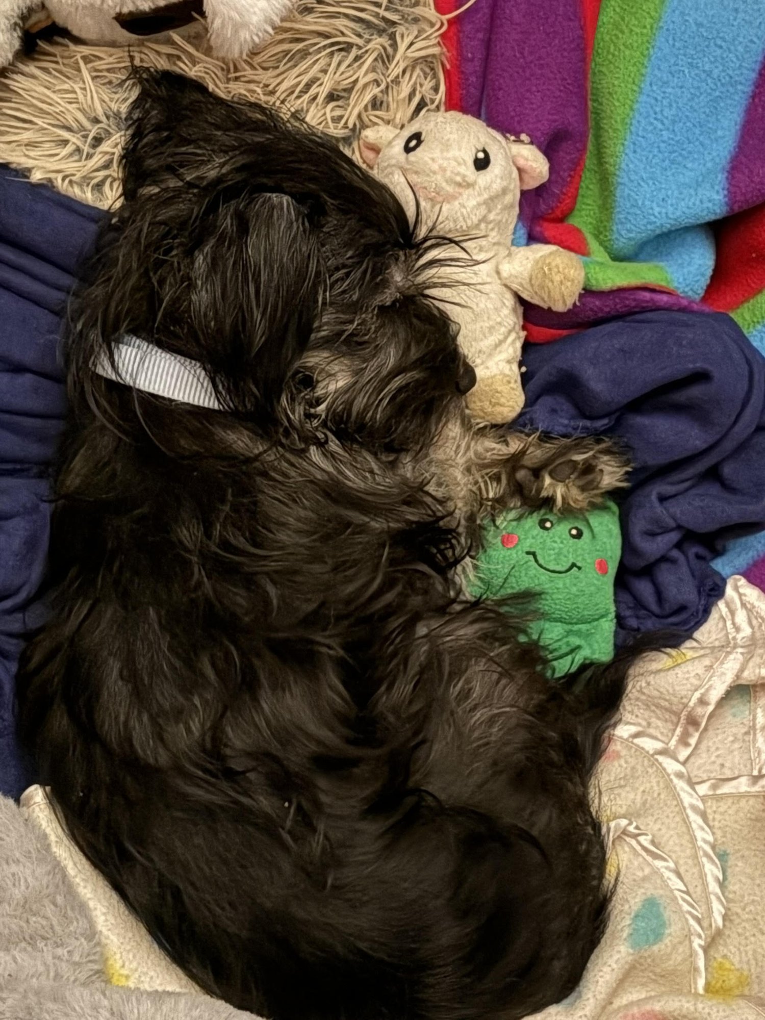 Percy Jackson - Photo 4