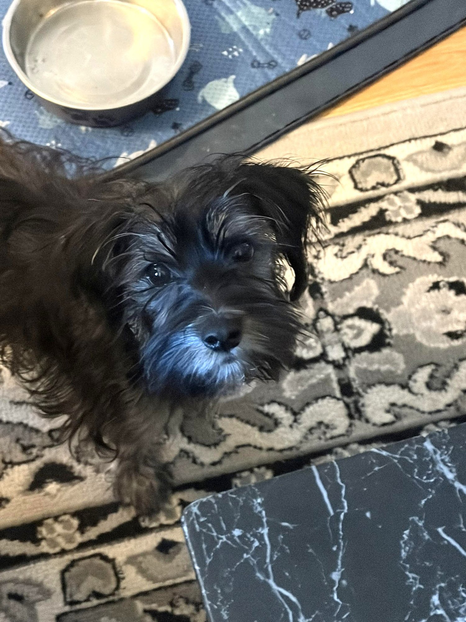 Percy Jackson - Photo 5