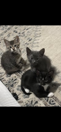 Pluto and Saturn (bonded pair) - Photo 1