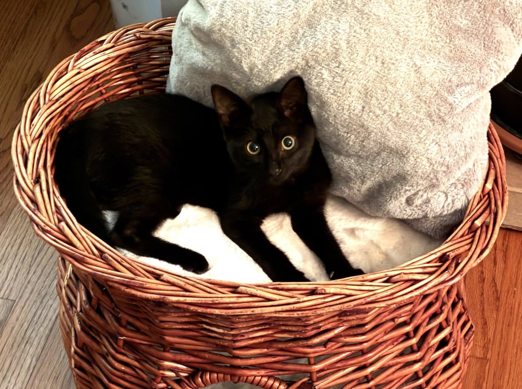 Coal Image