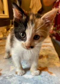 Darla - Photo 10