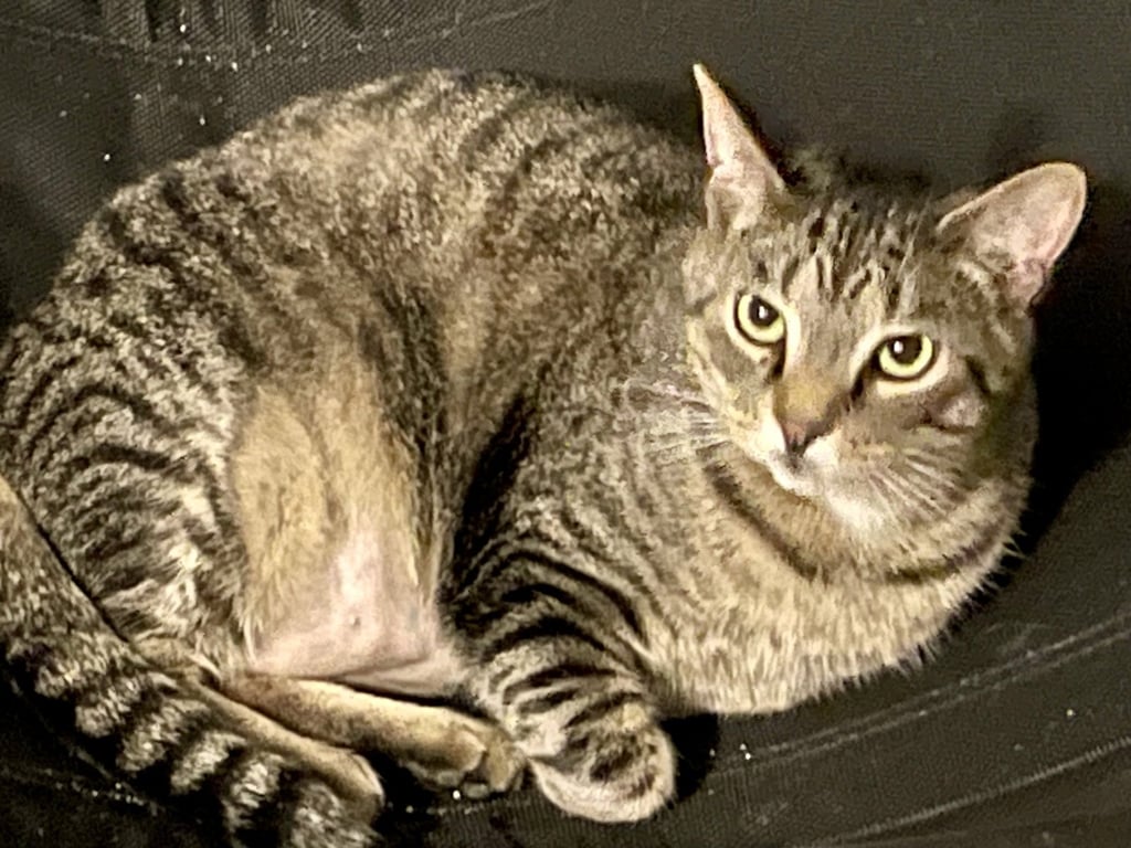 Sprite Image