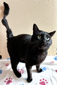 Esteban - Photo 3