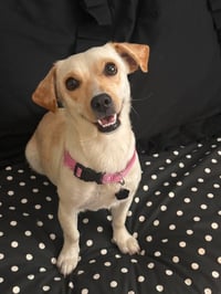 Elsa - Photo 3
