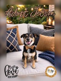 Jetson - Photo 1