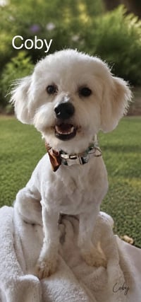 Coby - Photo 1