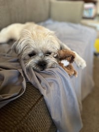 Morgan - Photo 1