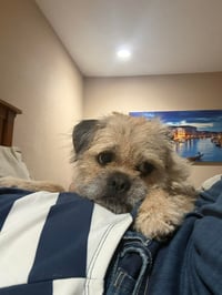 Stan - Photo 2