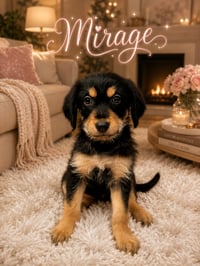 Mirage - Photo 1
