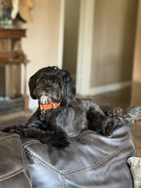 Precious - Photo 2