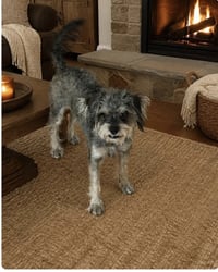 Gwen - Photo 1
