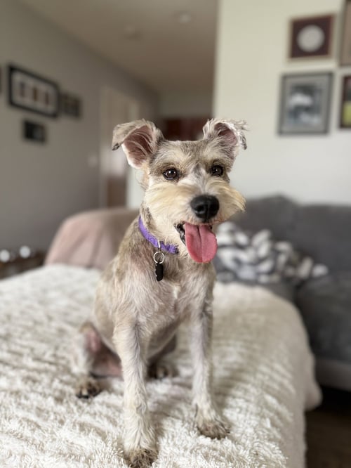 MURPHY