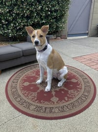 Kailee - Photo 1