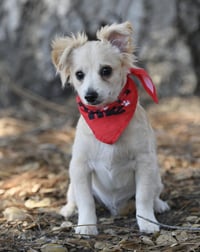 Marley - Photo 1
