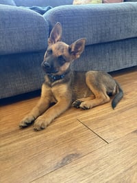 Kaia - Photo 3