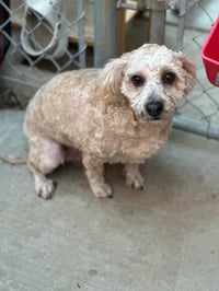 Butters - Photo 3
