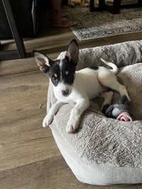 Kato - Photo 1