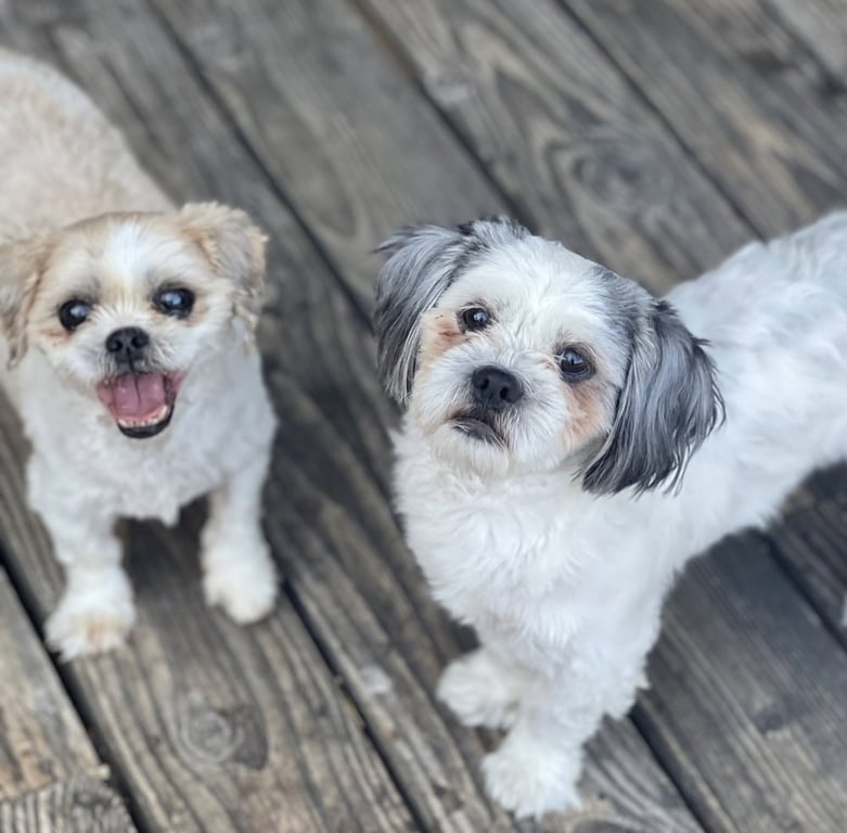 Benson and Bailey Image