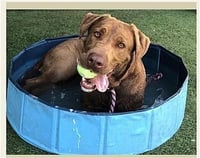 Delilah - Photo 3