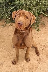 Delilah - Photo 4