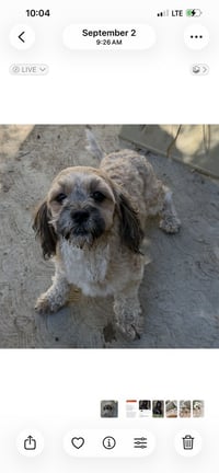 Chuy - Photo 1