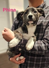 Phina - Photo 1