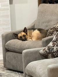 Mia - Photo 4