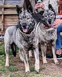 Freida and Dallen - Photo 4