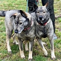 Freida and Dallen - Photo 2