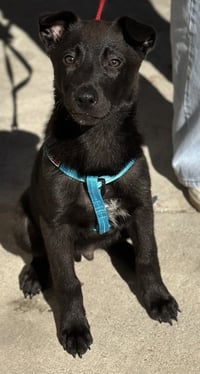 Asher - Photo 1