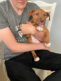Luke - Photo 3