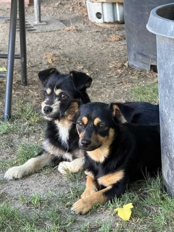 Winnie & Penny Image