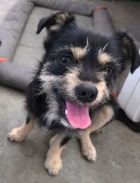 Winnie & Penny - Photo 3