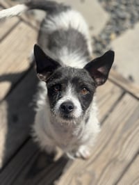 Marty - Photo 4
