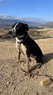 Lola - Photo 3