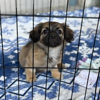 Fuzzy - Photo 2