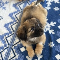 Fuzzy - Photo 3