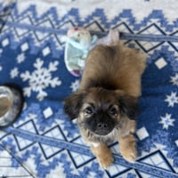 Fuzzy - Photo 4