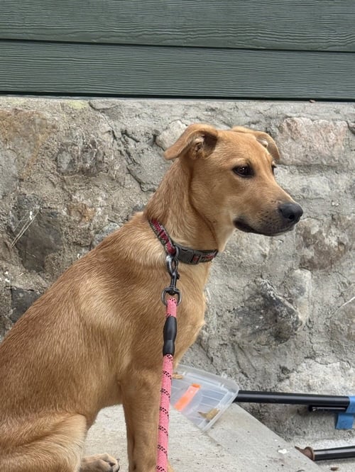 NOVA